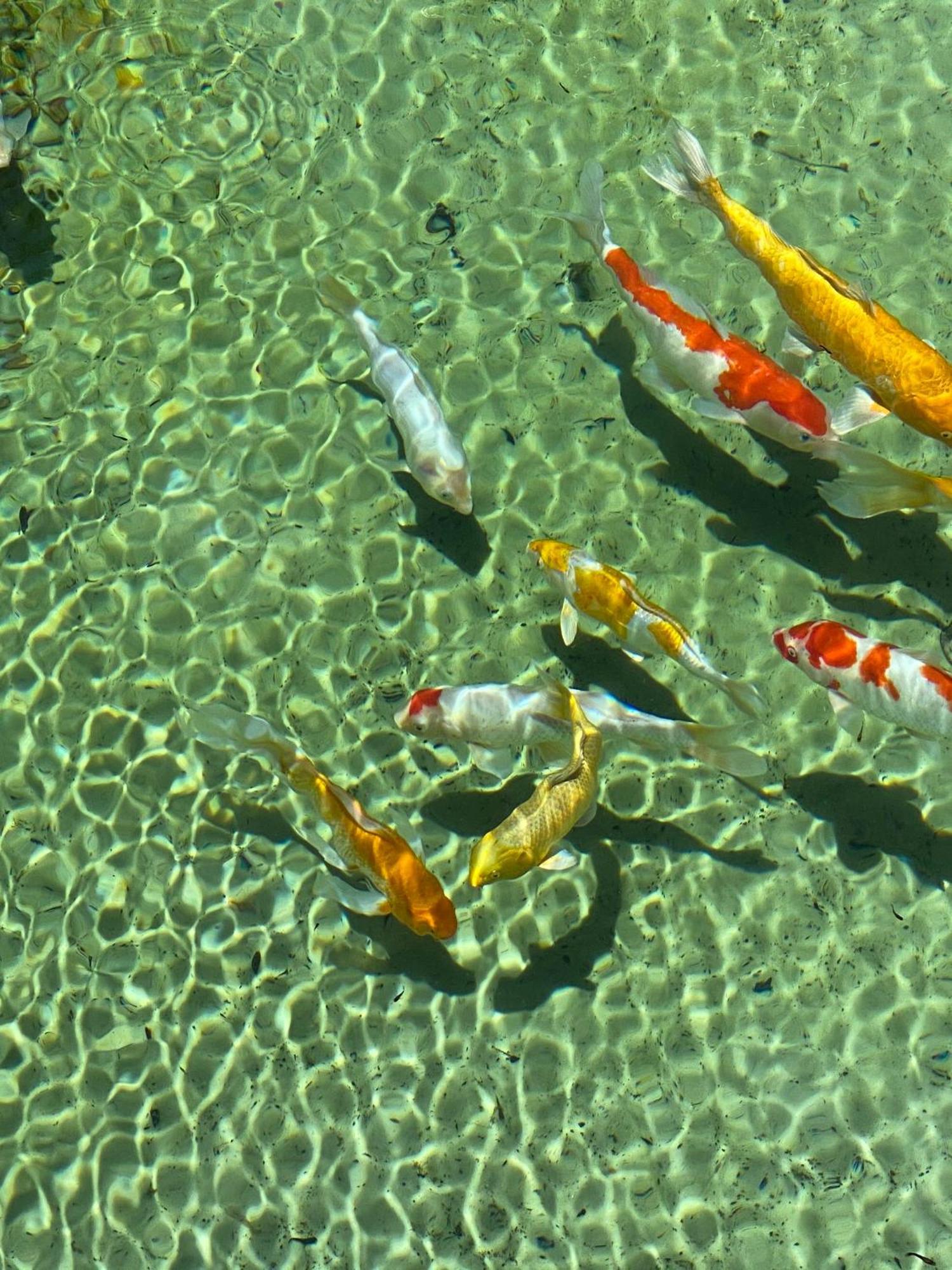 Uxua Casa Hotel & Spa Τρανκόσο Εξωτερικό φωτογραφία