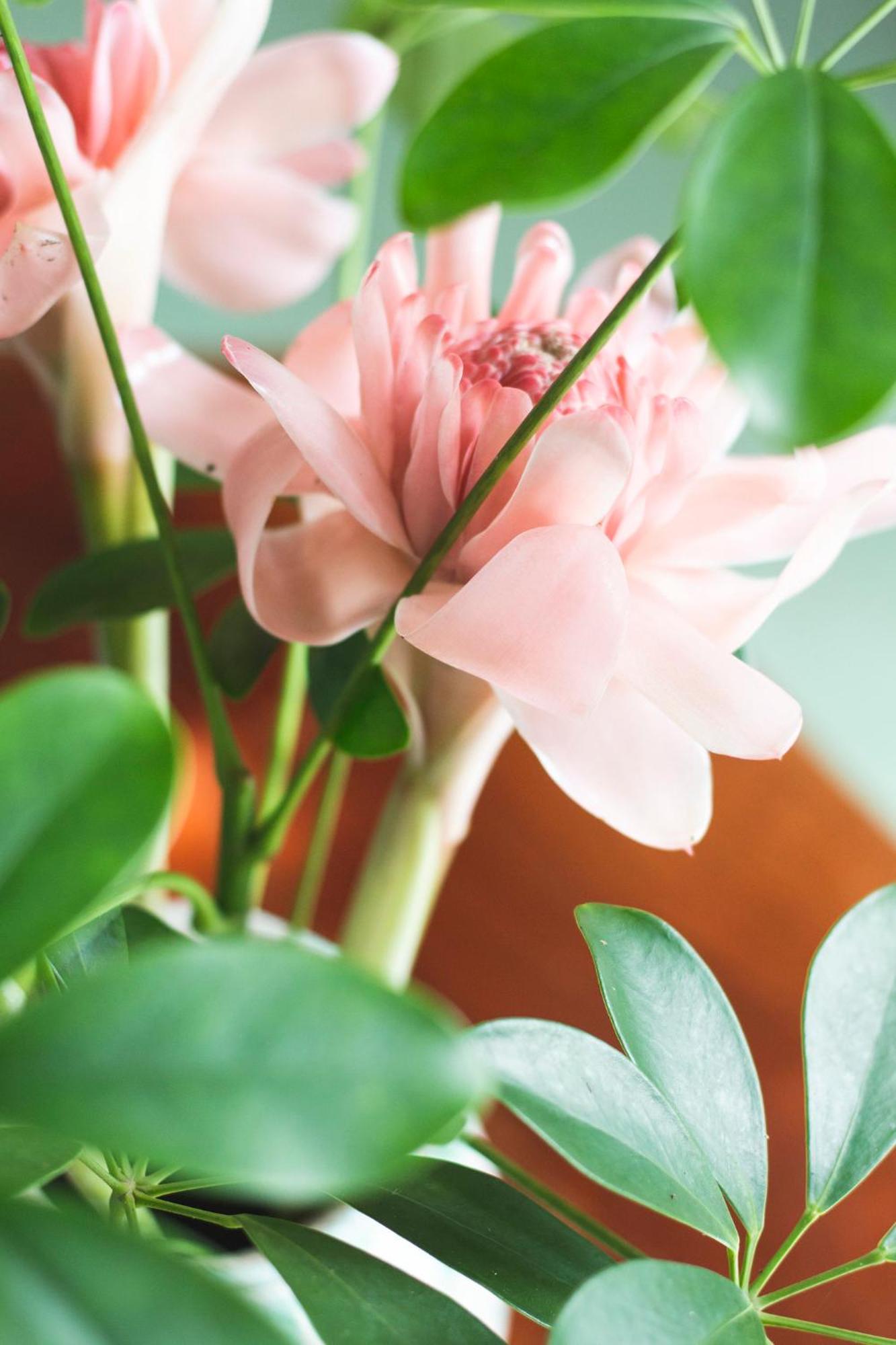 Uxua Casa Hotel & Spa Τρανκόσο Εξωτερικό φωτογραφία